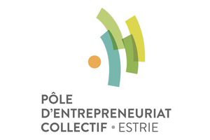 pole entreprenariat estrie